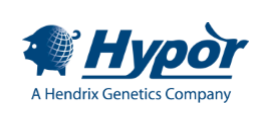 Hypor