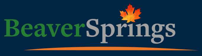 BeaverSprings Manufacturing